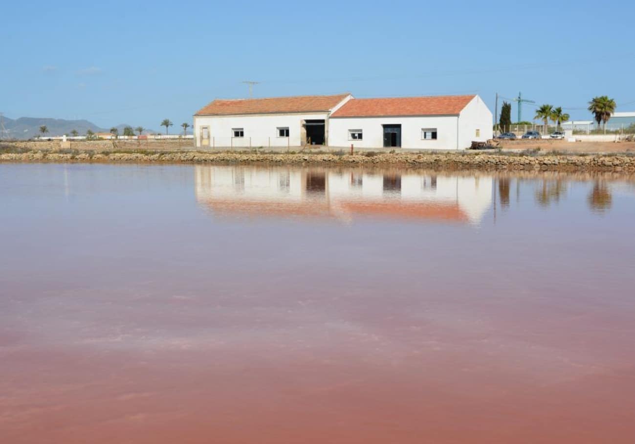 Salinas de Marchamalo, El Paraíso de La Manga.